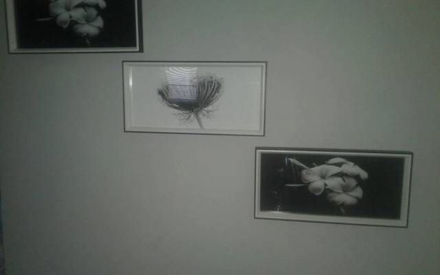 Denver Echo- Executive Guest House