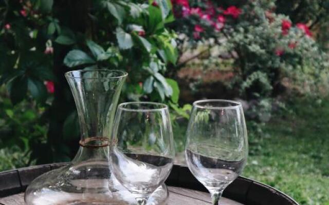 Guest House Entre Viñedos