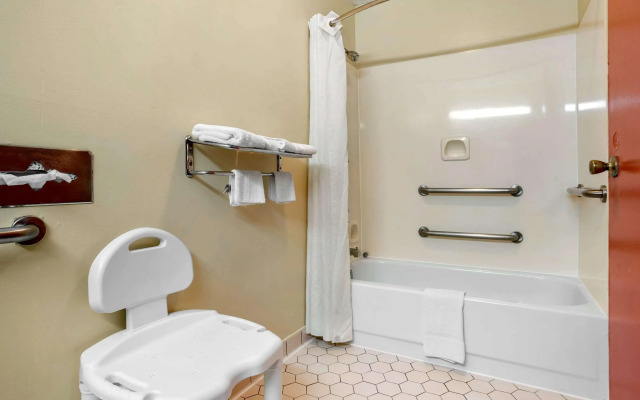 Econo Lodge Inn & Suites Forest