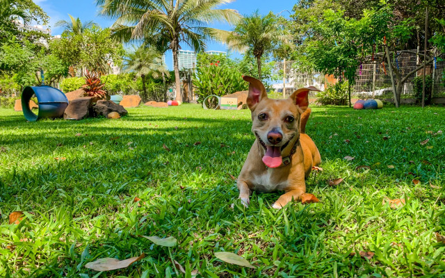 Puerto de Luna Pet Friendly & Family Suites Hotel