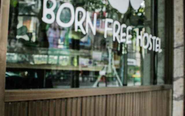 Born Free Hostel - Vista