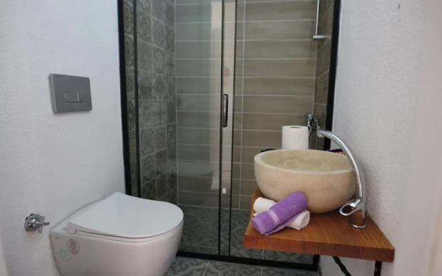 Levin Hanım Konağı