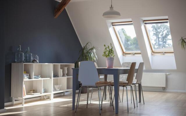 Lion Apartments - Baltica