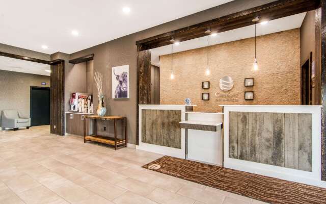 Comfort Inn & Suites