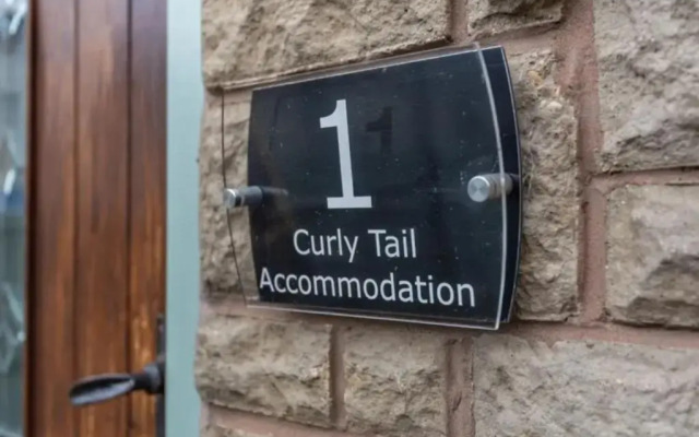 Curly Tail Accommodation