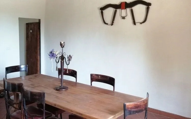 B&B Fattoria Camilla