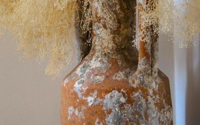 Palazzo Marzoli Resort