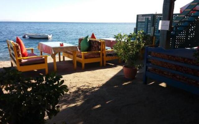 New Yalla Hotel