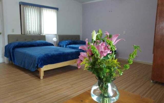 Nido de Colibrí Hotel Relax