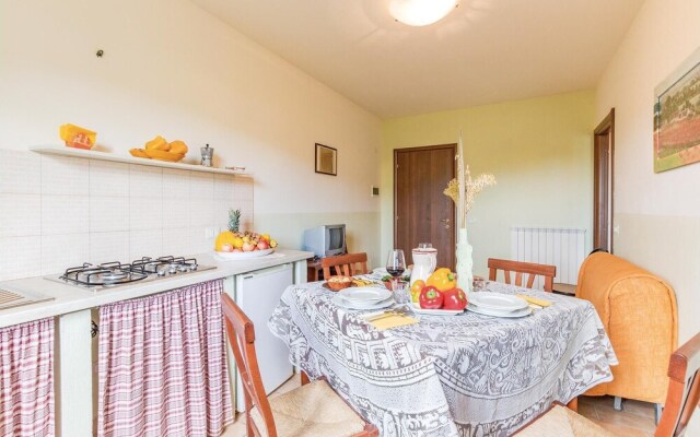 Valguerriera 2 - Salvia