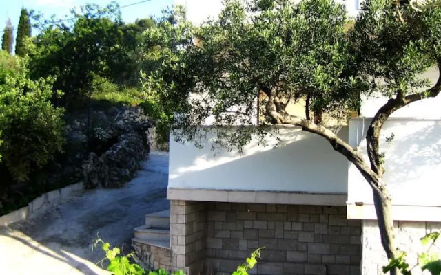 Apartments Sunny Dalmatia