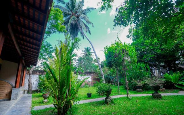 Palitha Guesthouse Hotel Dandelion