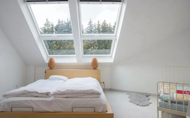 Spacious apartment with sauna and two balconies in Winterberg