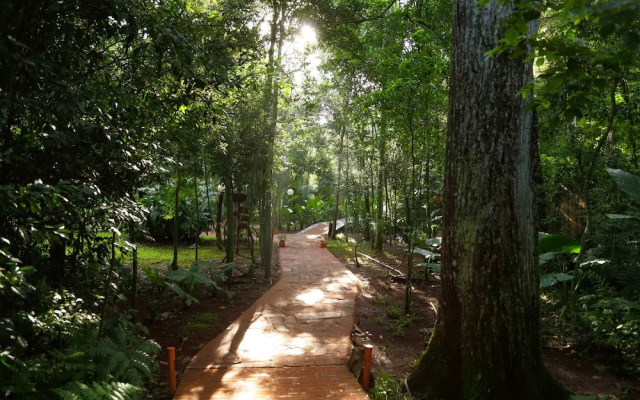 Tierra Guarani Lodge de Selva