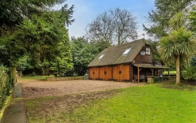 The forest wooden Flat