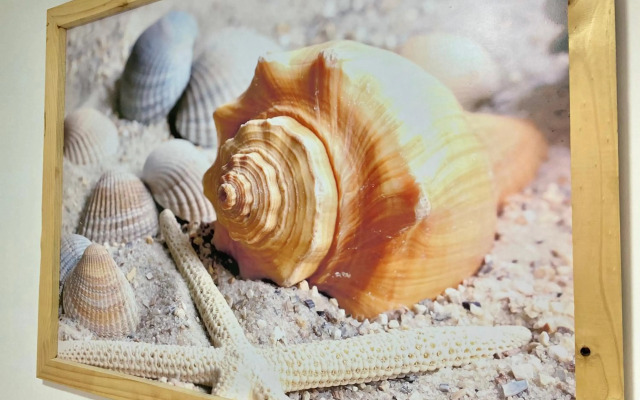 Caribbean Venture Apto 803 - Rodadero, Santa Marta