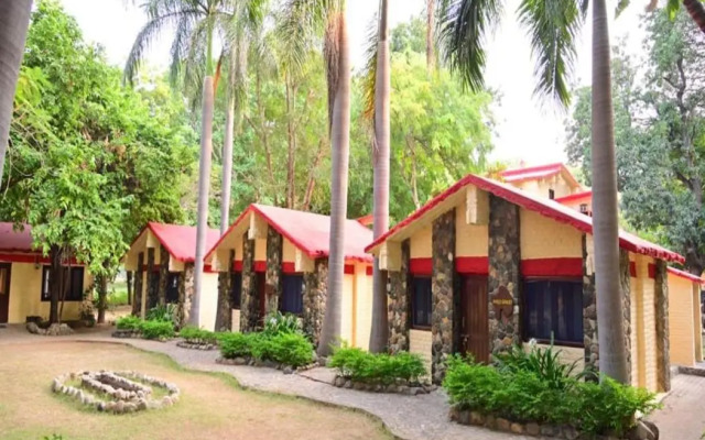 Leopard Lair Ananta Express