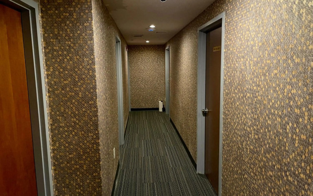 Hotel Mimosa