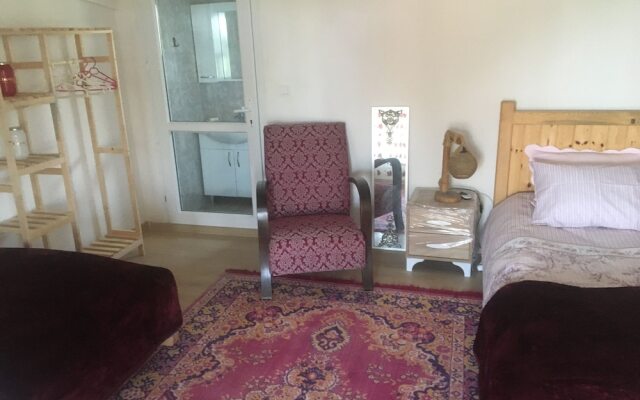 Mount Ida Detox Hotel Adults only Izmir