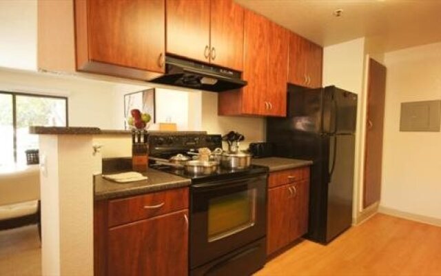 Avalon Mountain View