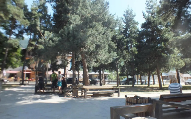 Gogi Jafaridze's Guesthouse