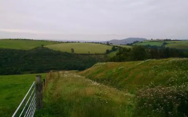 The Farm Snead Bed & Breakfast