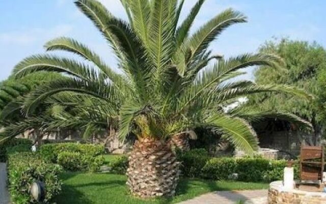 Aggeliki's Diamond