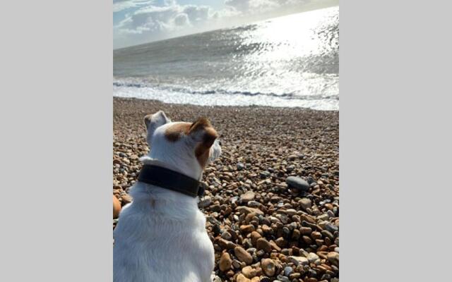 Stunning 18th Century 5 Bed House Old-Town Hastings