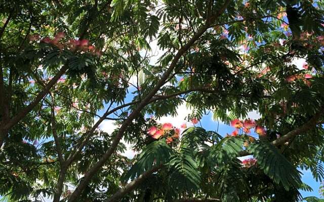 Chambres d'hôtes de La Roche