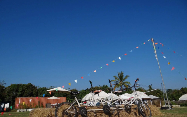 The Camping Field