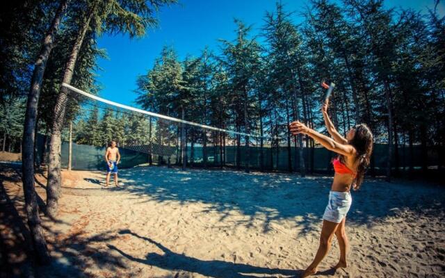 Destination Bulgaria 2000 Summer Private Apartments Crown, Imperial, Panorama