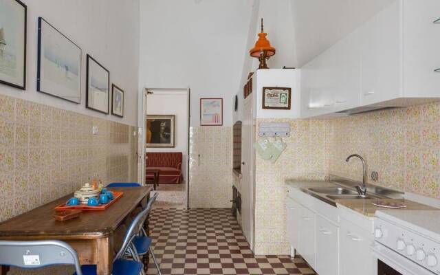 1143 Le Cicale - Violetta