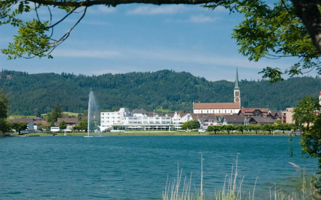 TOP SeminarHotel am Aegerisee Unteraegeri