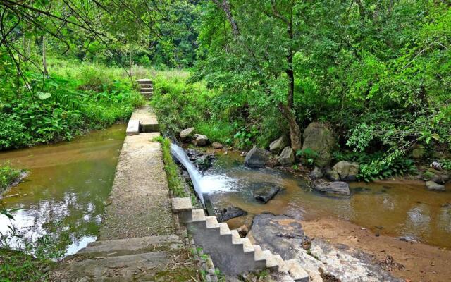 Giridarshini Homestay - Pool, Falls, Home Food & Estate