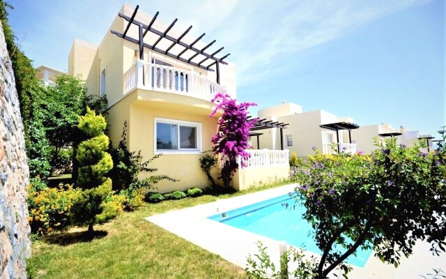 Villa Avion