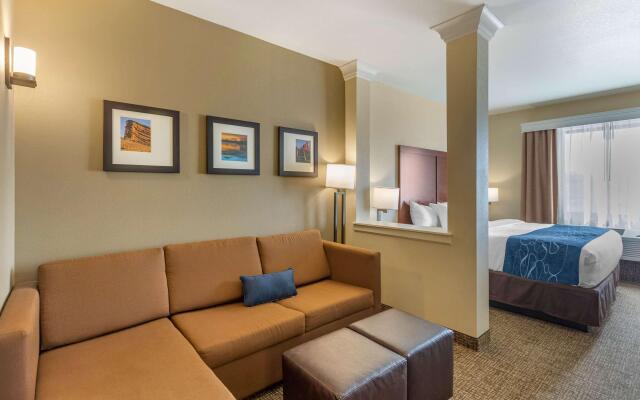 Comfort Suites Near Denver Downtown