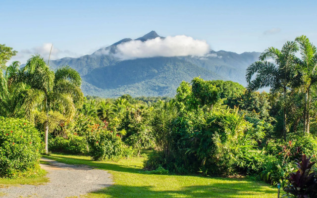 The Epiphyte Bed & Breakfast