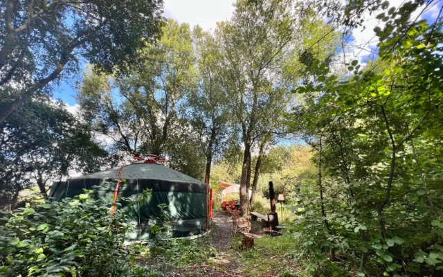 Camping De Helleborus
