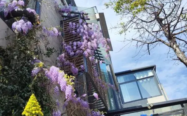 Dali Hidden Homestay