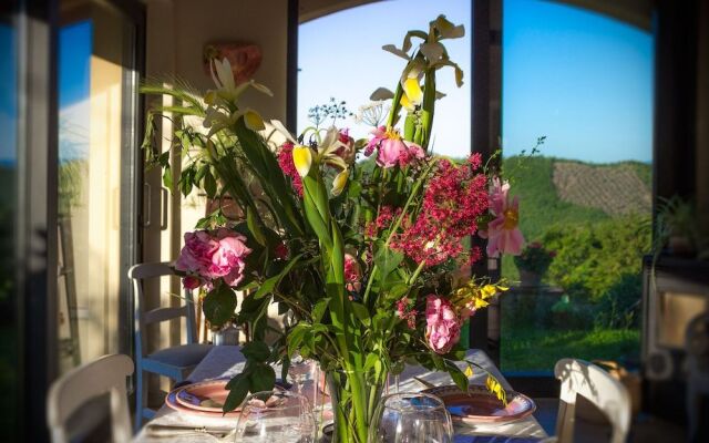 Villa Porcigliano Olive Grove