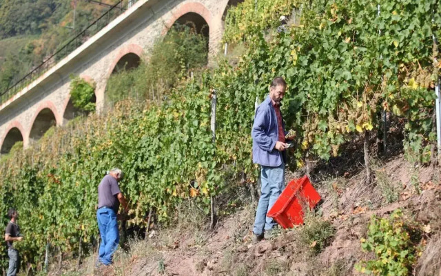 Wein & Wohngut Paulushof