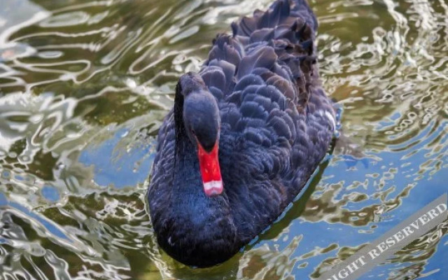 Xiyuanwan Enjoy The Scenery And Stroll Hotel