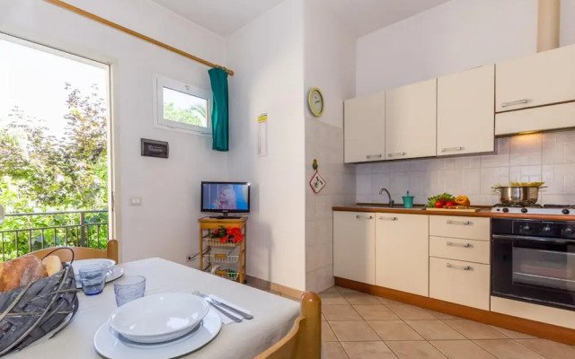 Daniela 4 100mt From sea