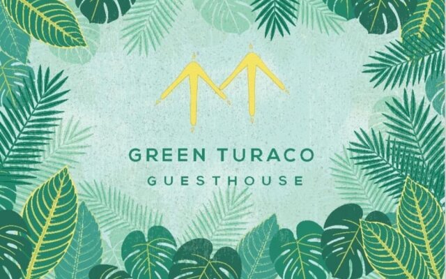 Green Turaco
