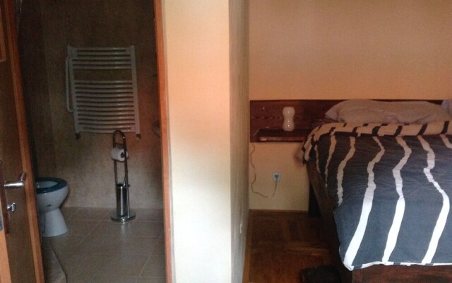 Vacation house for more than family