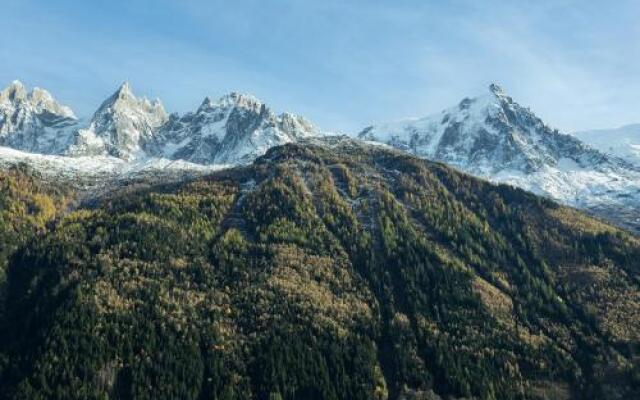 Apartement Blue Velvet