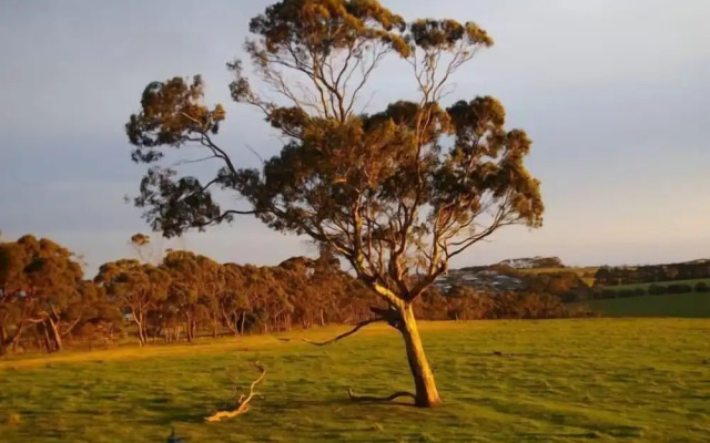 The View on Grossmans