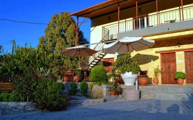 Villa Olive Tree