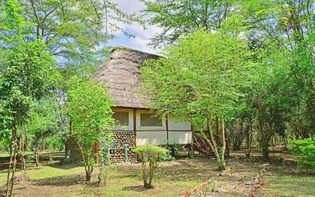 Ishasha Jungle Lodge