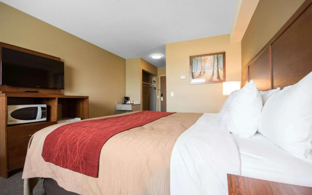 Comfort Inn & Suites